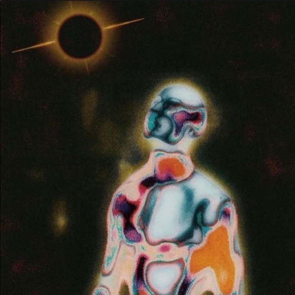 Meet your Posher, Max - Picture 1 of 1